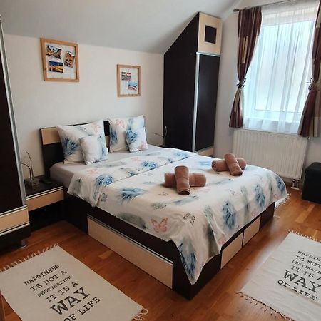 Smiley Apartment Sibiu Extérieur photo
