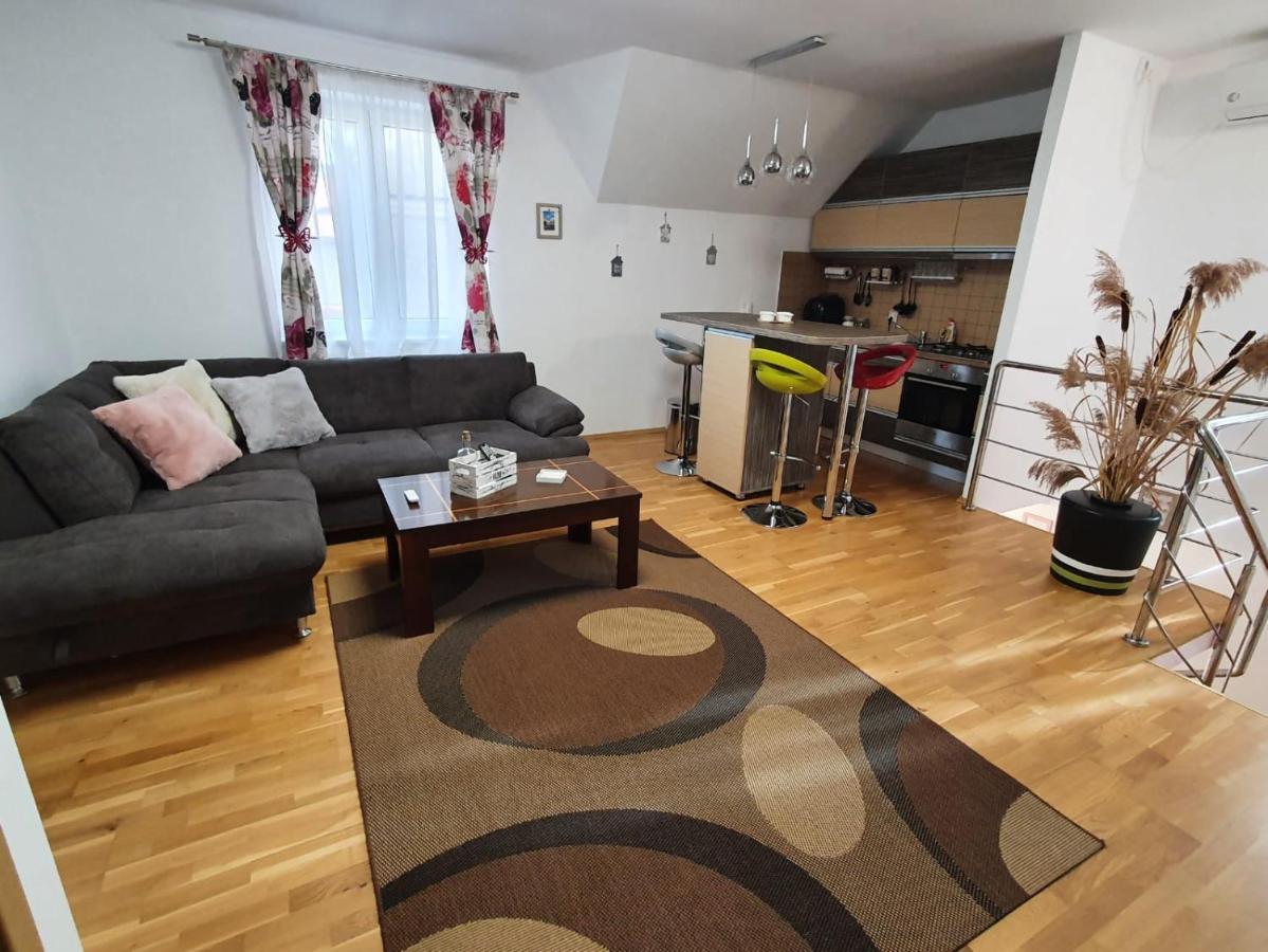 Smiley Apartment Sibiu Extérieur photo