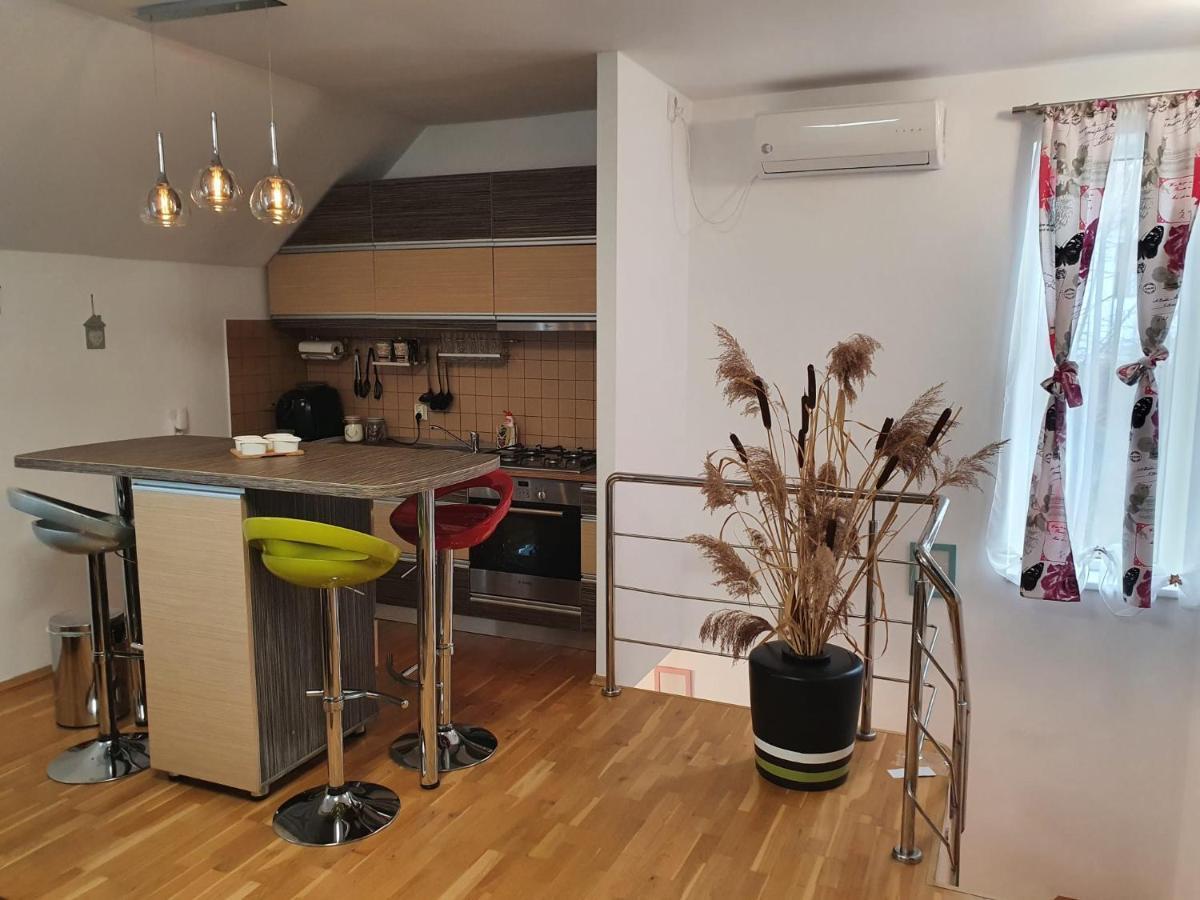 Smiley Apartment Sibiu Extérieur photo
