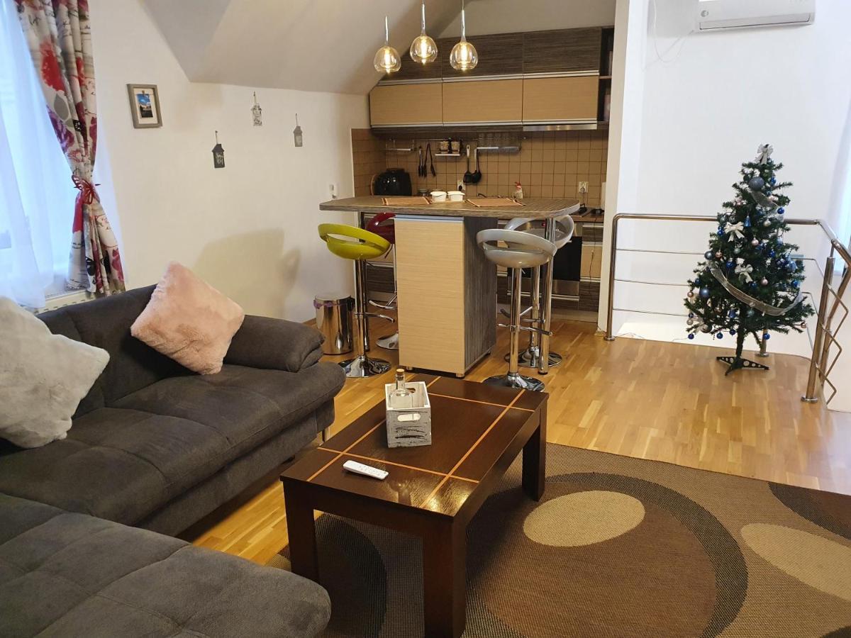 Smiley Apartment Sibiu Extérieur photo