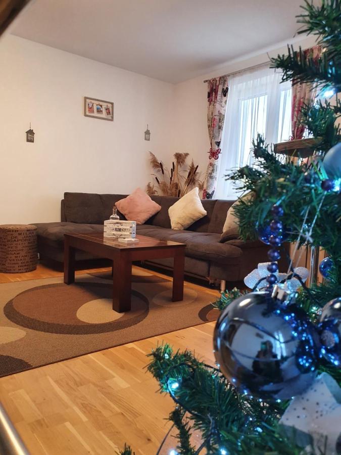 Smiley Apartment Sibiu Extérieur photo