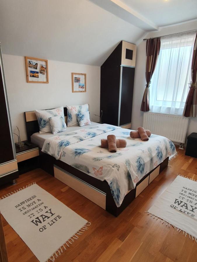 Smiley Apartment Sibiu Extérieur photo