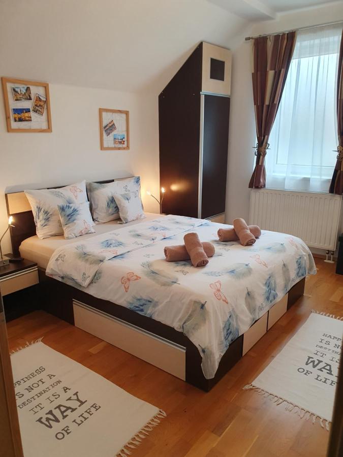 Smiley Apartment Sibiu Extérieur photo
