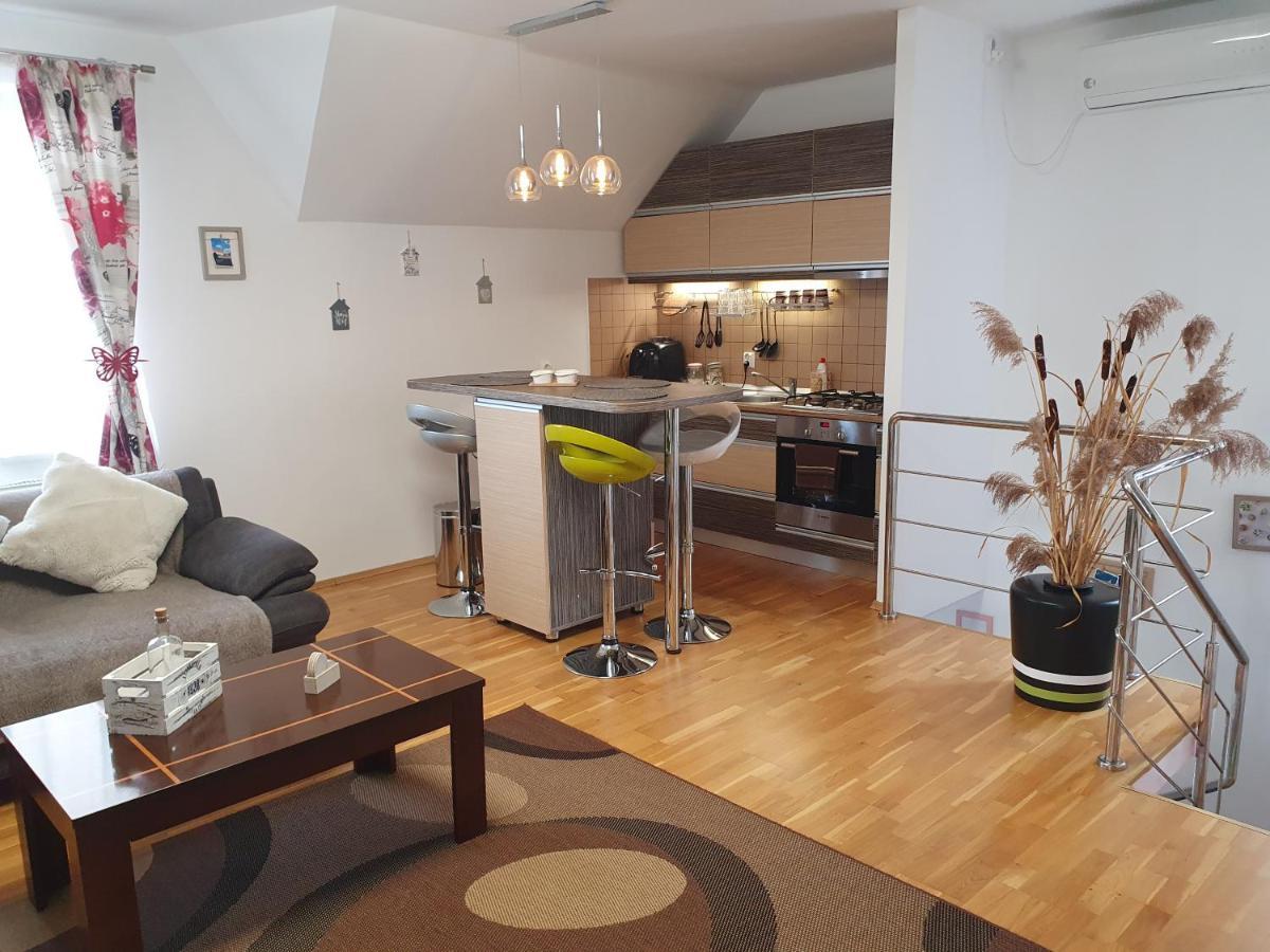 Smiley Apartment Sibiu Extérieur photo
