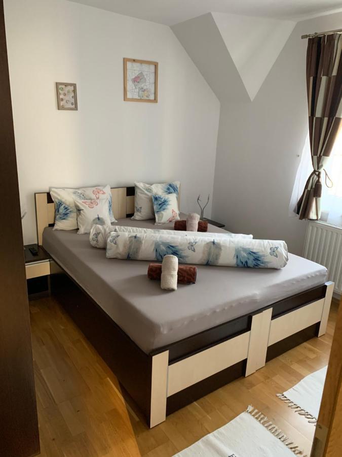 Smiley Apartment Sibiu Extérieur photo